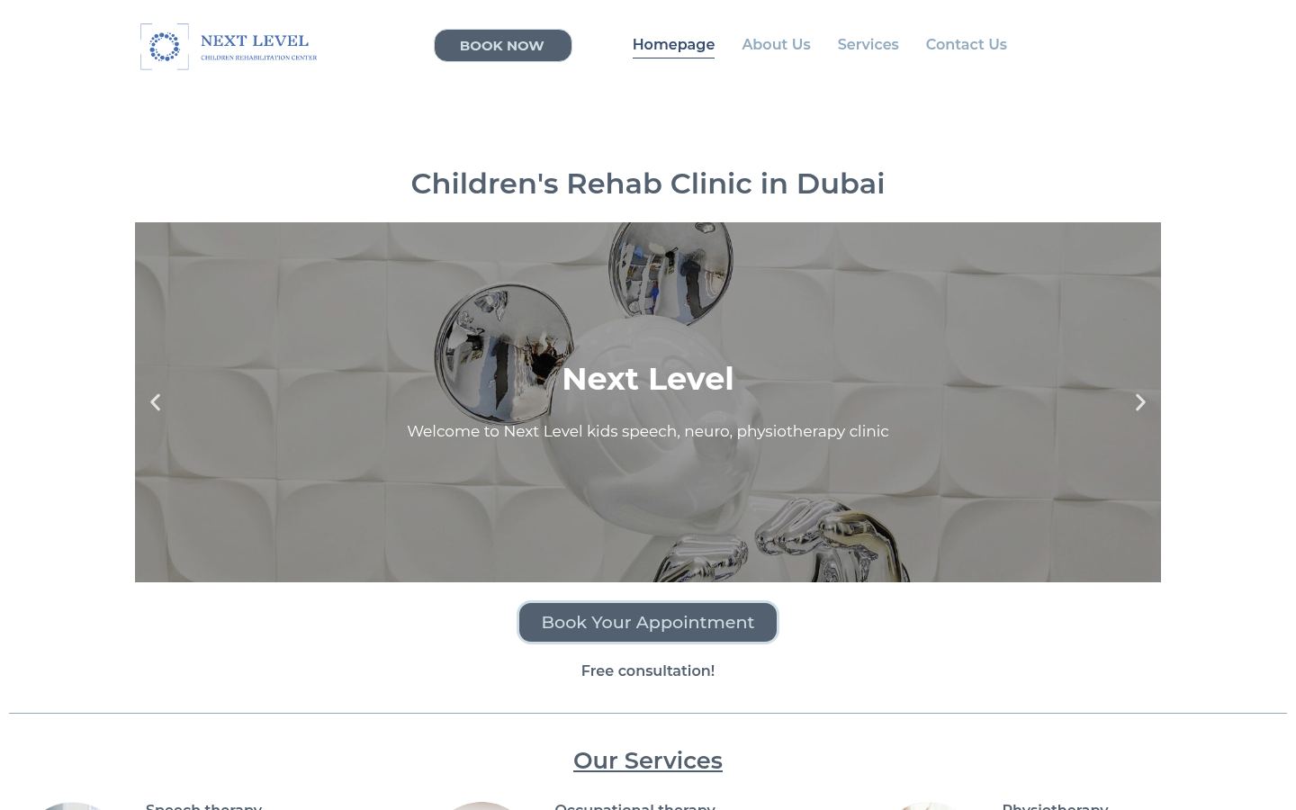 Next Level Rehabilitation Center &middot; HOMEPAGE_SCREENSHOT