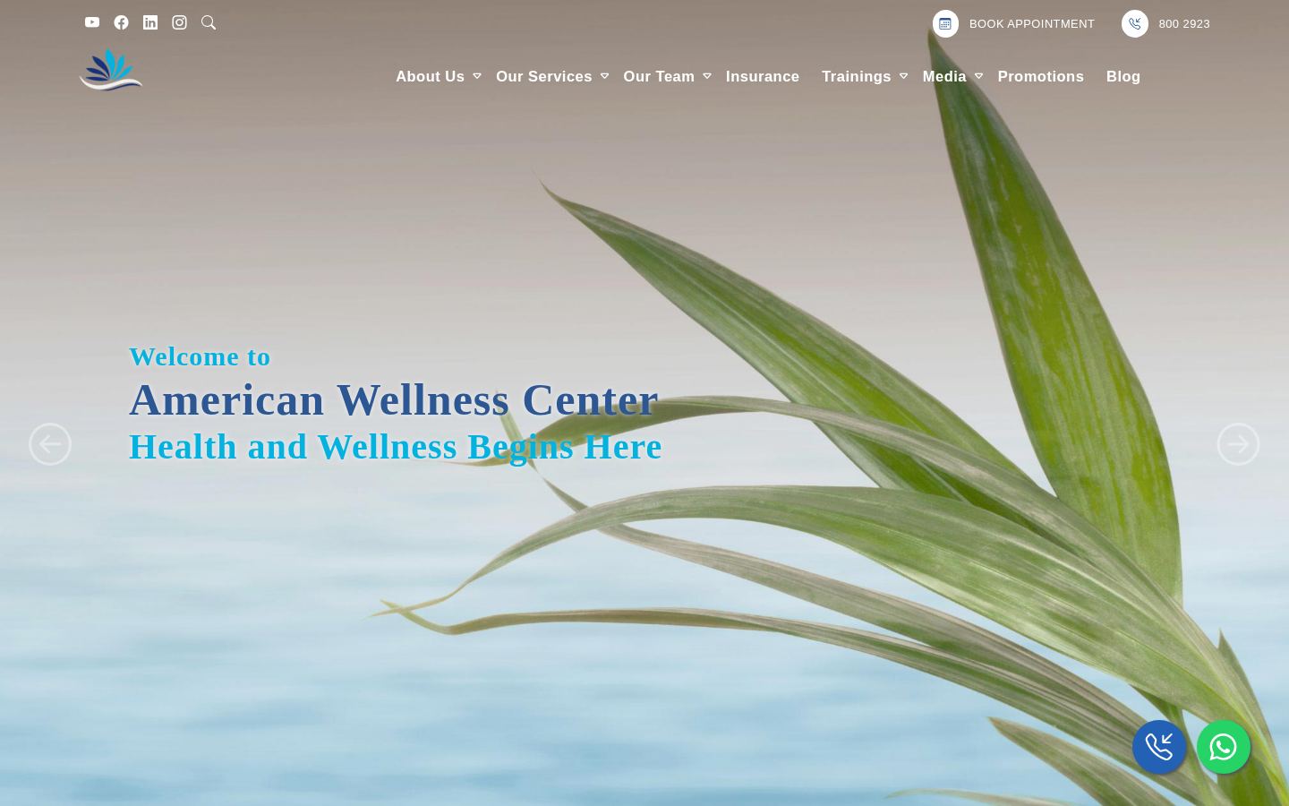American Wellness Center &middot; HOMEPAGE_SCREENSHOT